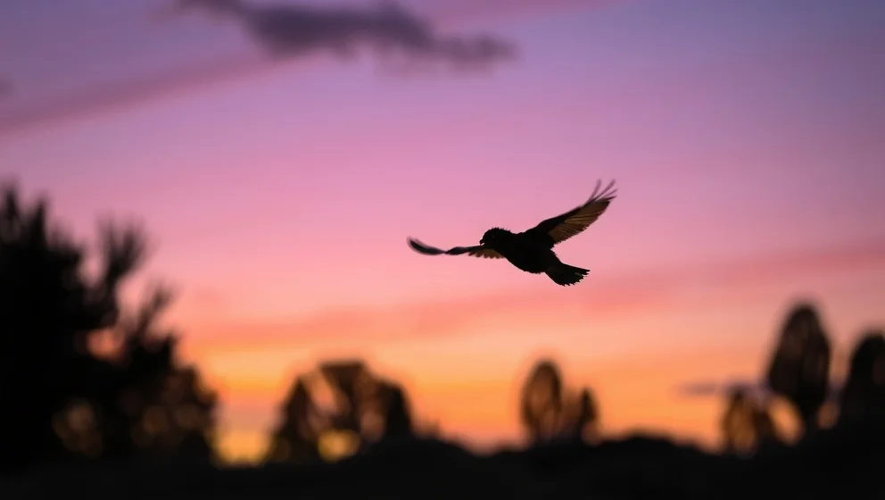 Rollistan i tordyveln flyger i skymningen